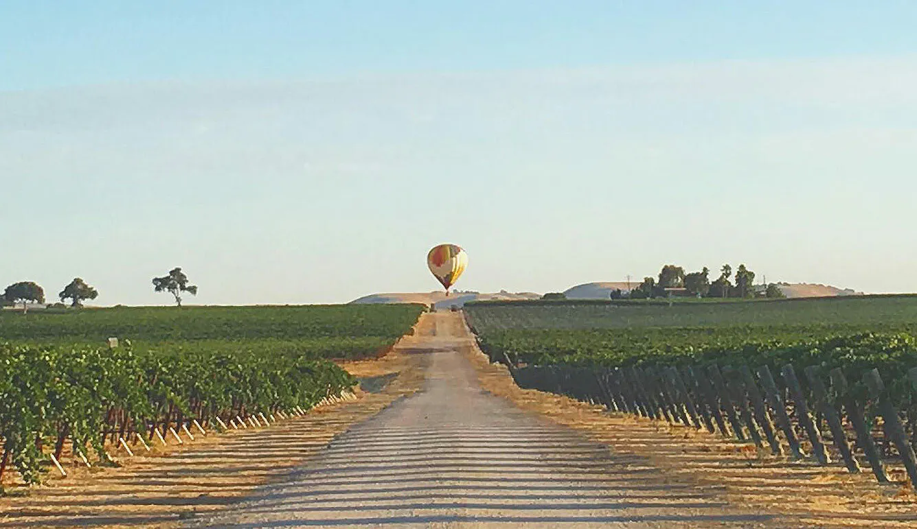 Balloons Over Paso
