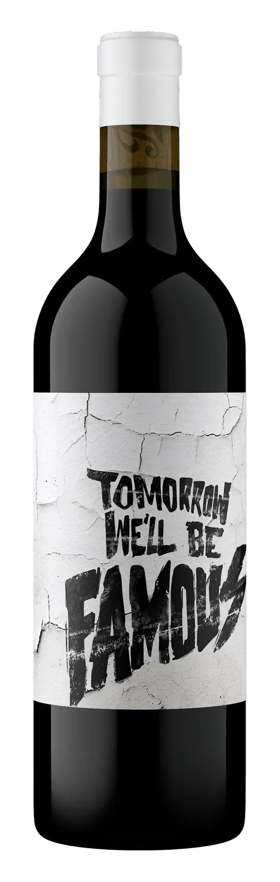 Tomorrow Well Be Famous