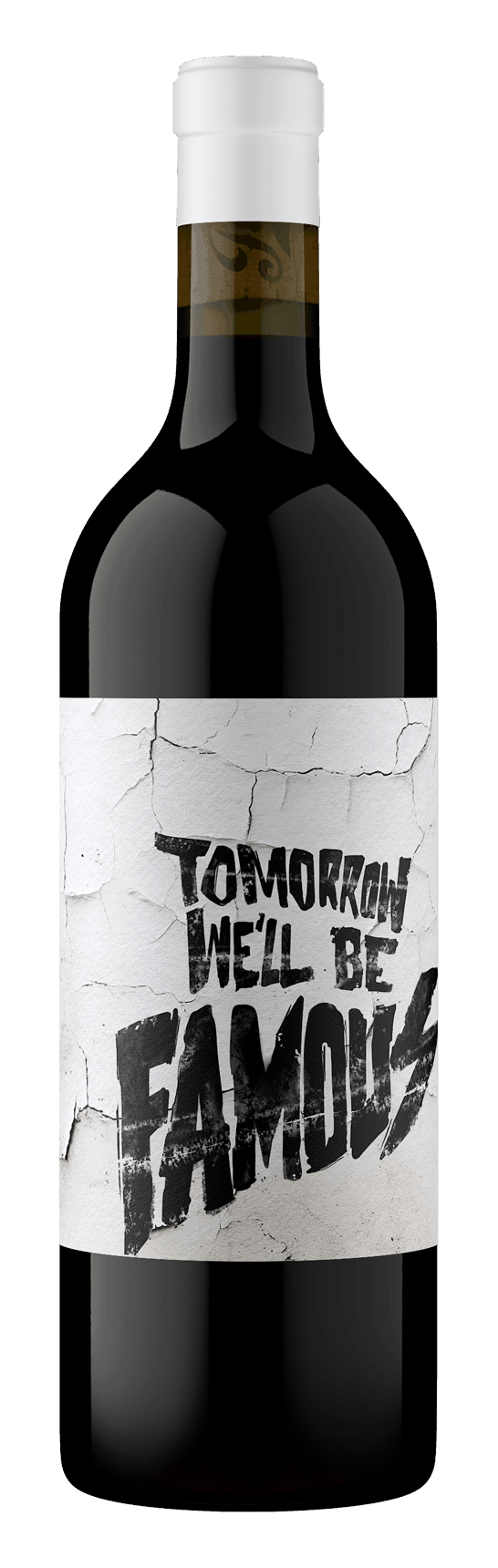 Tomorrow Well Be Famous