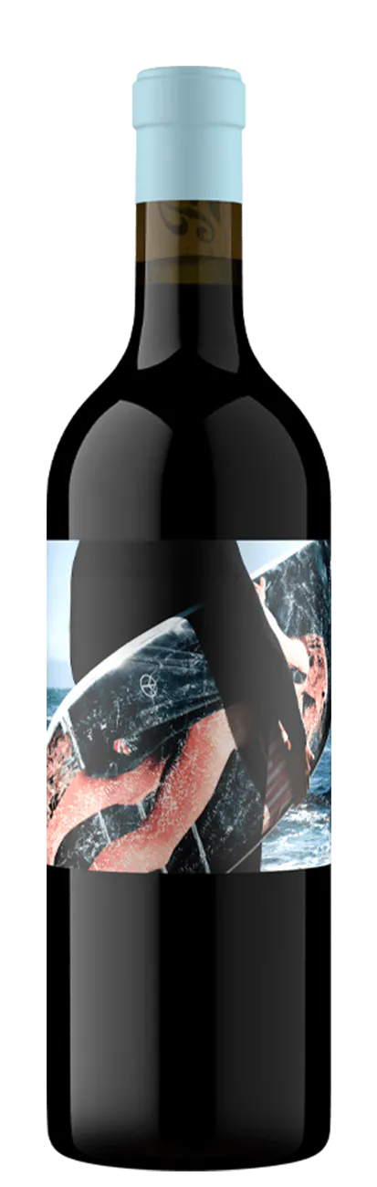 Art Of Surfing