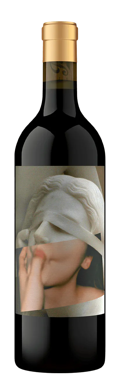 BDXSM