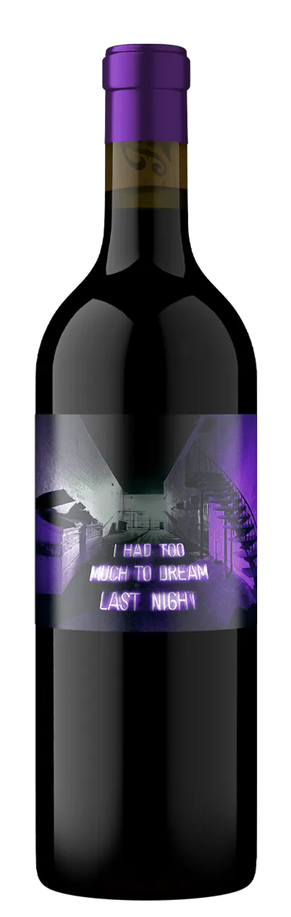 Too Much To Dream